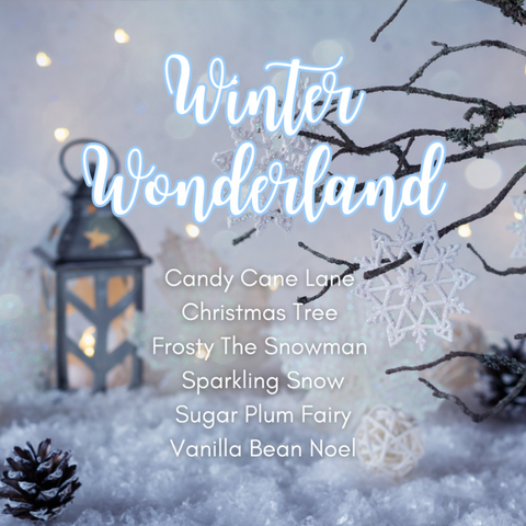 Winter Wonderland Box Set