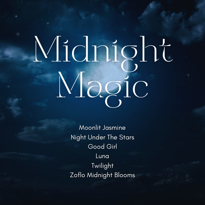 Midnight Magic Boxset